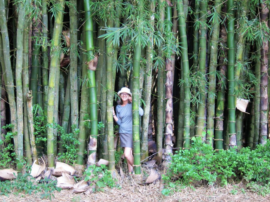 Bamboo curtain - Pyin Oo Lwin